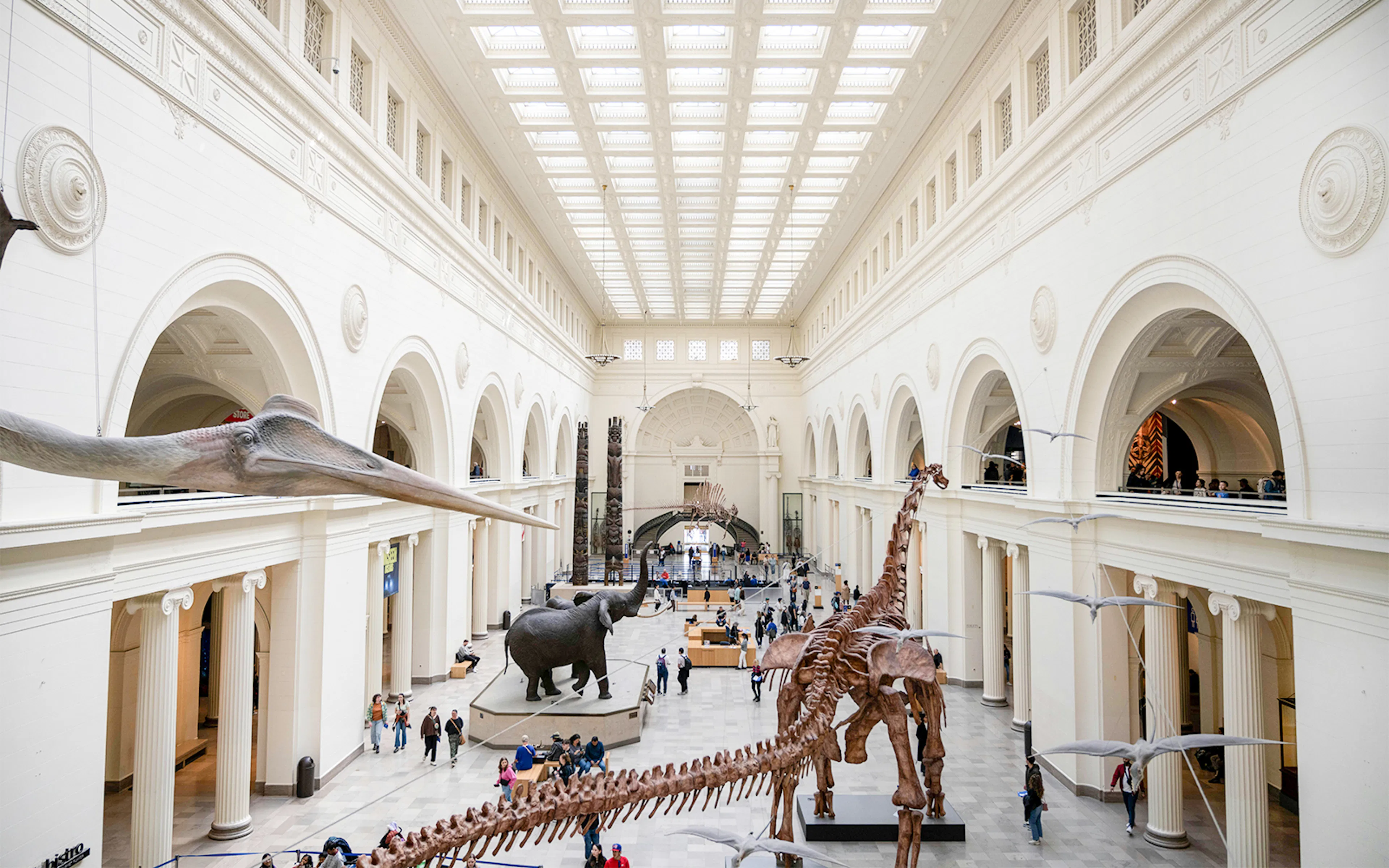 Stanley Field Hall at the Field Museum