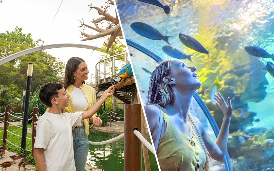 Dubai Safari Park visitor feeding parrot; woman admiring fish in Dubai Aquarium tunnel.
