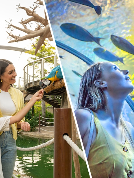 Dubai Safari Park visitor feeding parrot; woman admiring fish in Dubai Aquarium tunnel.