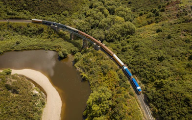 Train crossing Deep Stream Bridge on Taieri Gorge Scenic Rail Journey, surrounded by lush greenery.