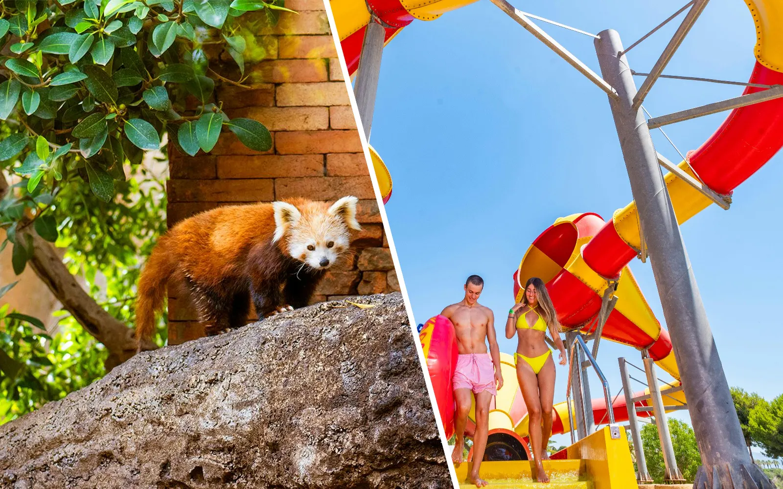 Bioparc Fuengirola and Aqualand Torremolinos 1-Day Entry Experience