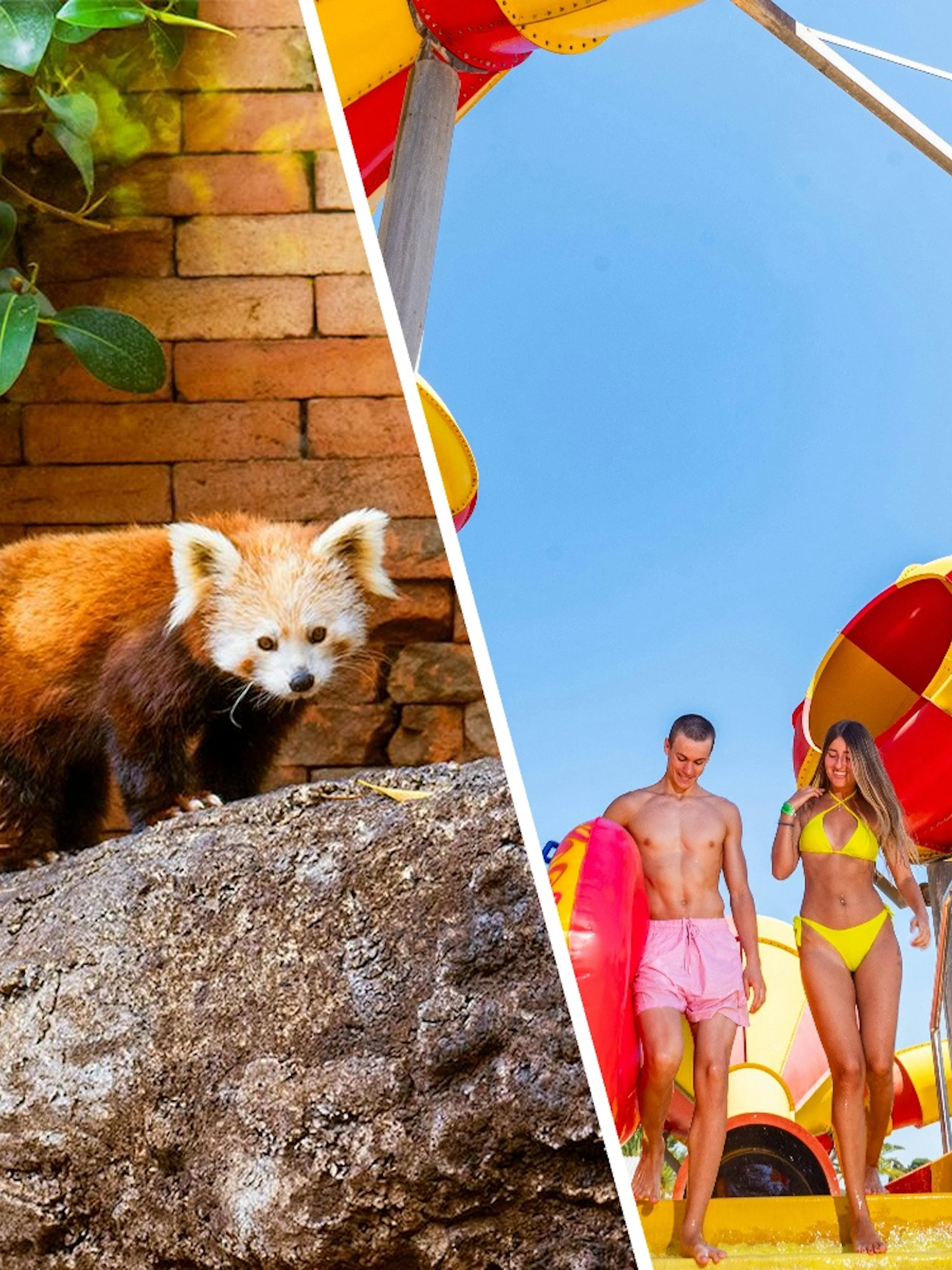 Visitors at Crazy Cones water slide, Aqualand Torremolinos.