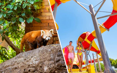 Visitors at Crazy Cones water slide, Aqualand Torremolinos.