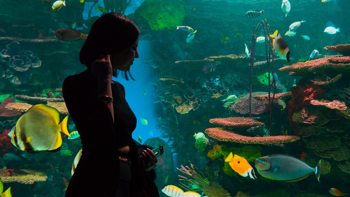 SEA LIFE Munich
