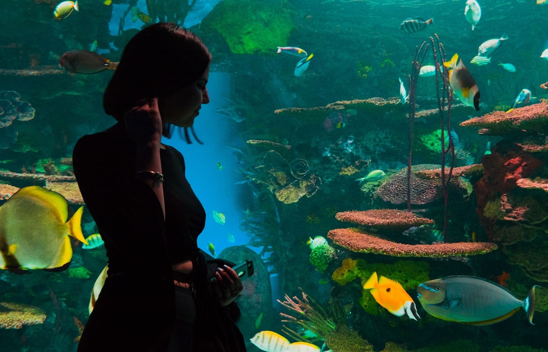 tourist at Malta National Aquarium