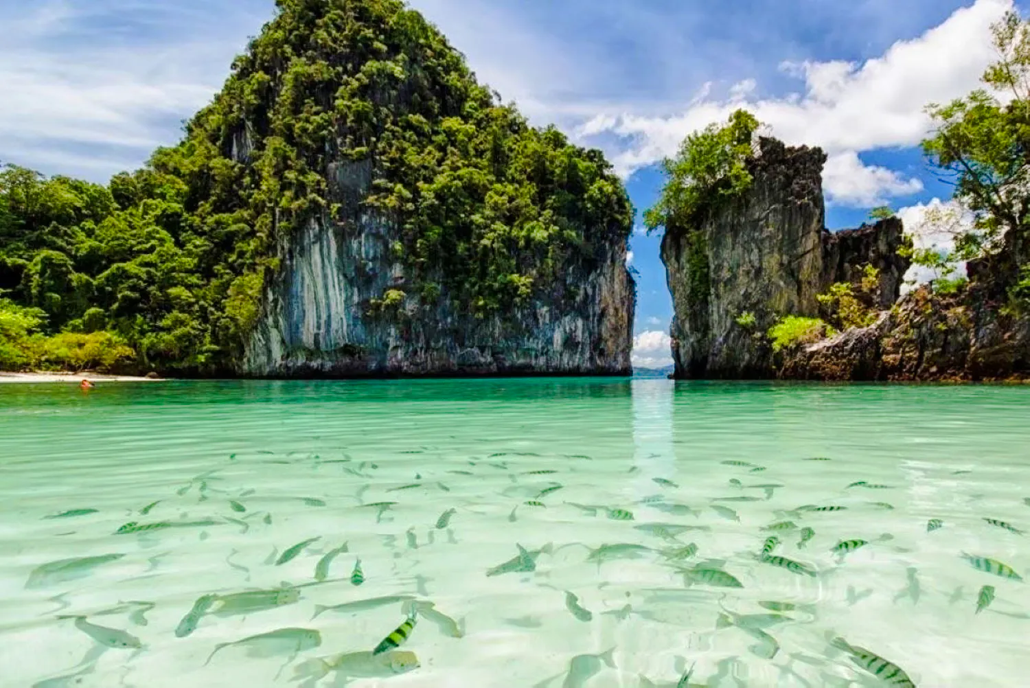 Krabi: Hong Islands Sunset Tour by Speedboat with BBQ Dinner