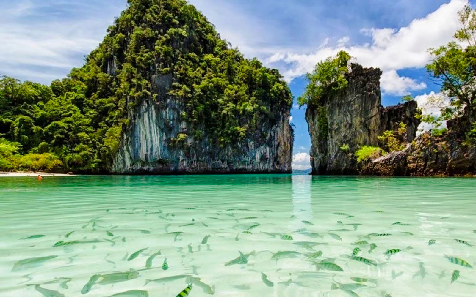 Krabi: Hong Islands Sunset Tour by Speedboat with BBQ Dinner