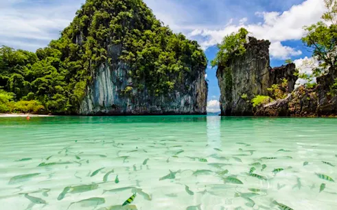 Hong Islands limestone cliffs and clear waters with fish, Krabi sunset tour.