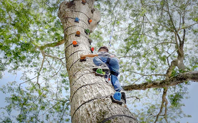 Person climbing a tree with harness at ESCAPE Ipoh Theme Park.