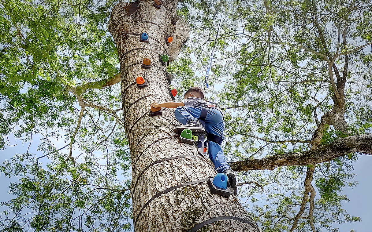 Person climbing a tree with harness at ESCAPE Ipoh Theme Park.