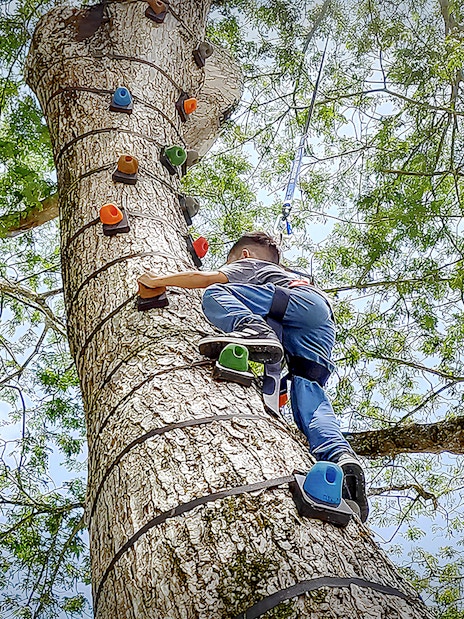 Person climbing a tree with harness at ESCAPE Ipoh Theme Park.