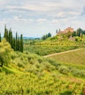 Campo do Chianti (opcional)