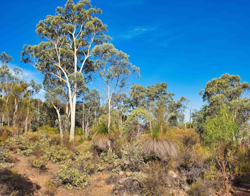 Day trips from Perth