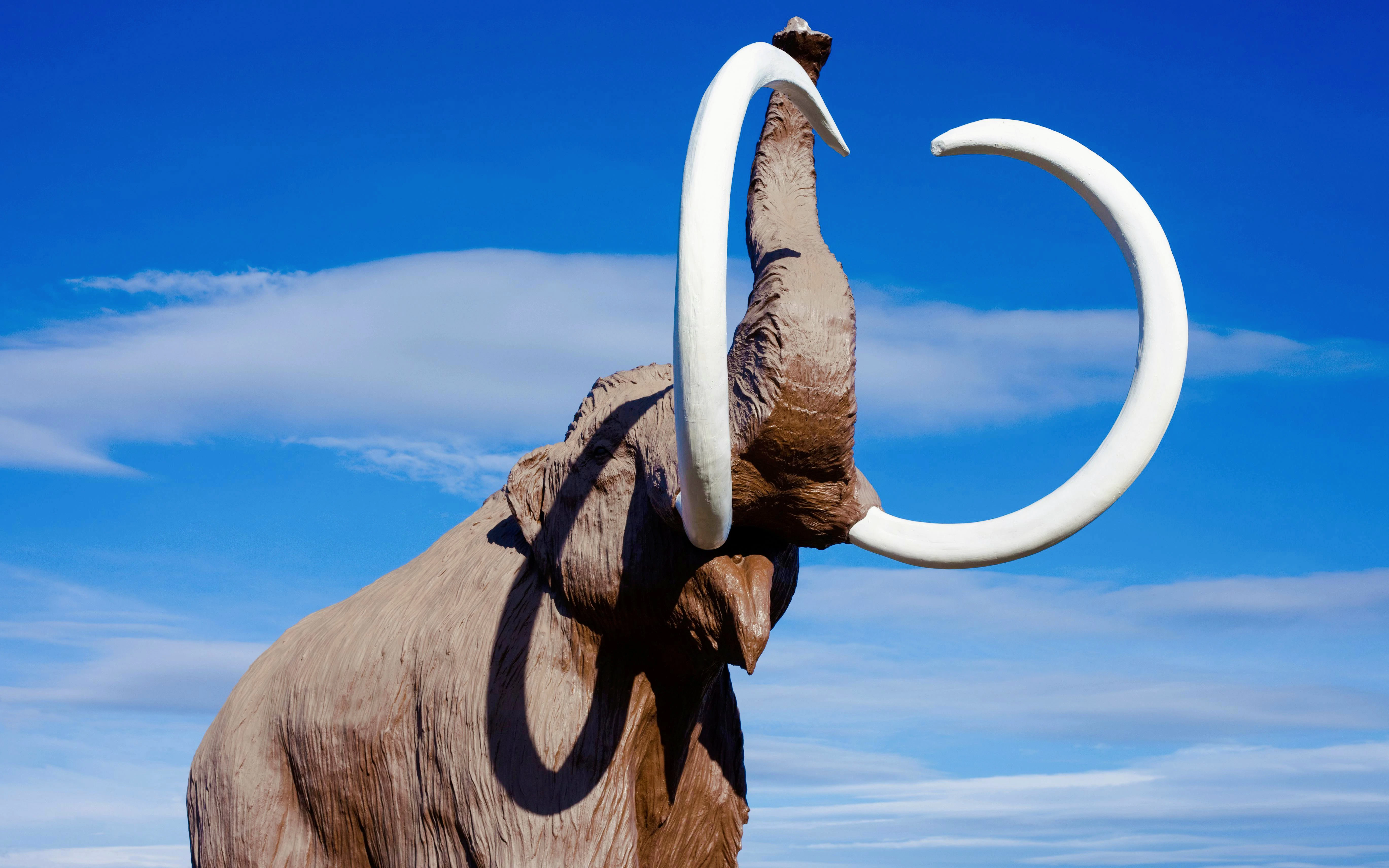 Mammoth statue against a blue sky.
