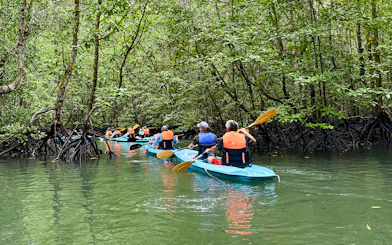 Kayakers paddling through mangrove forest in Langkawi.