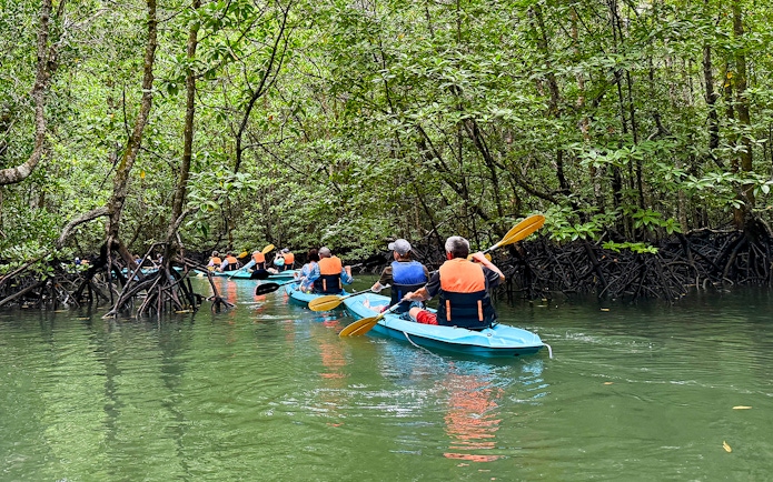 Kayakers paddling through mangrove forest in Langkawi.
