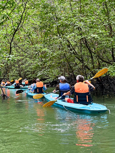 Kayakers paddling through mangrove forest in Langkawi.