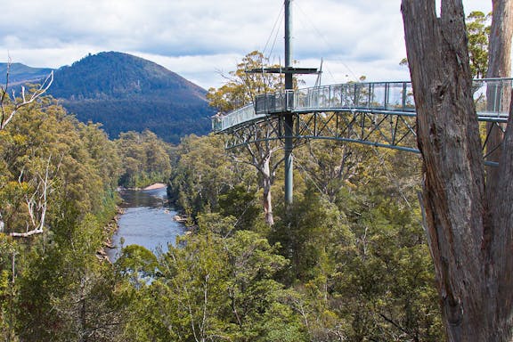 full-day guided tour of hastings caves, tahune, and huon valley-6
