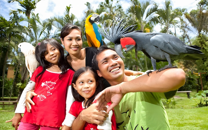 Family enjoying colorful parrots at Bali Bird Park.