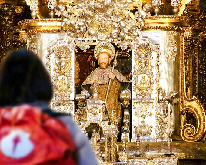 Santiago de Compostela Historic Center, Museum & Cathedral Guided Tour