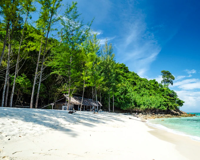 From Krabi: Bamboo Island Speedboat Tour with Snorkeling