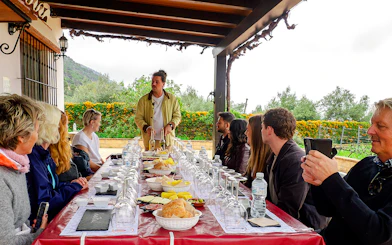 Mijas Organic Vineyard Tour and Tasting with 5 Wines, 2 Olive Oils and Tapas