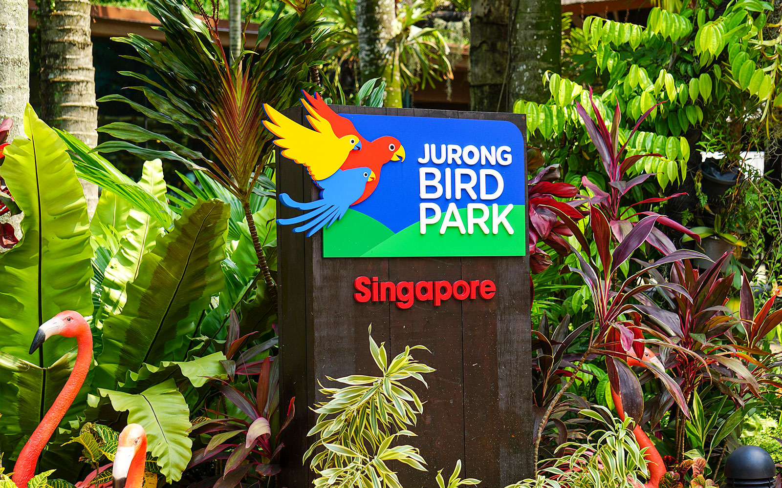 Best places to visit in Singapore - Jurong Bird Park