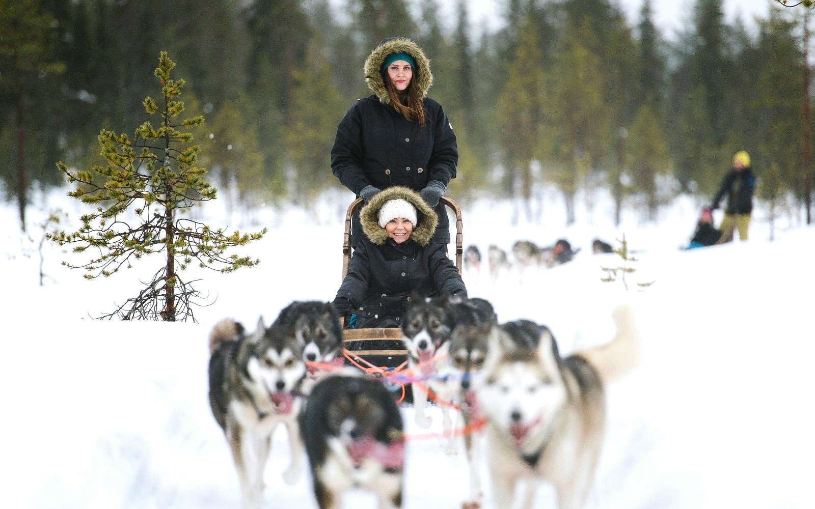 Husky sledding through snowy forest near Rovaniemi.