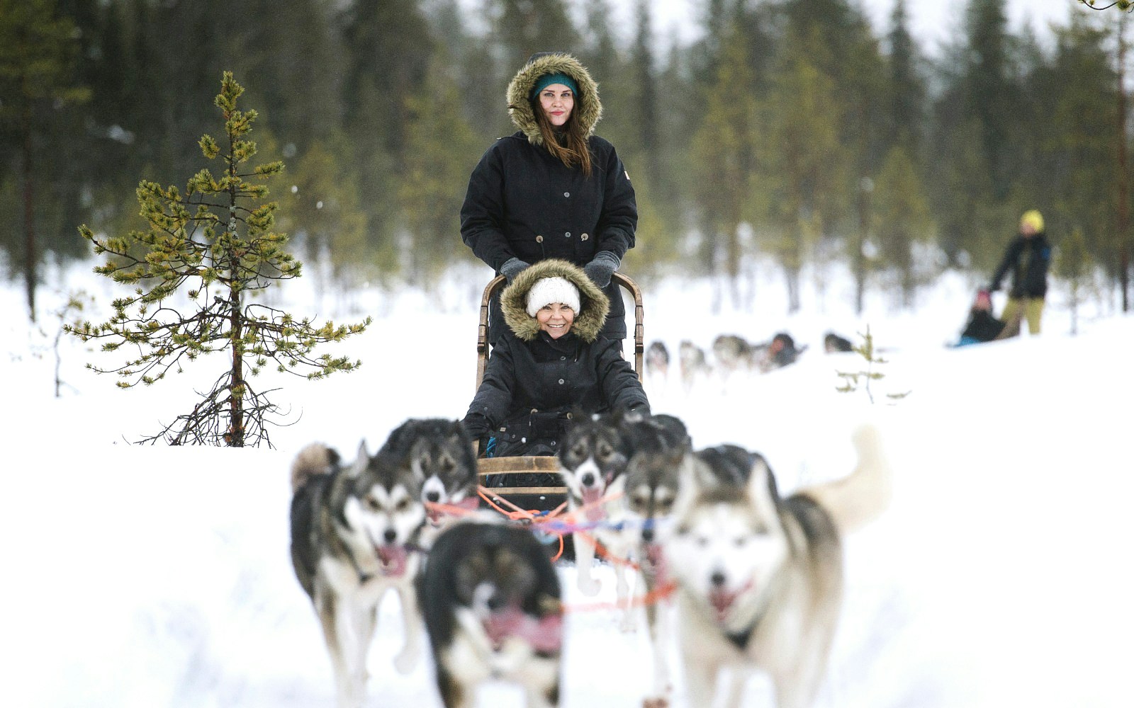 Husky sleigh ride under Northern Lights near Rovaniemi, Finland.