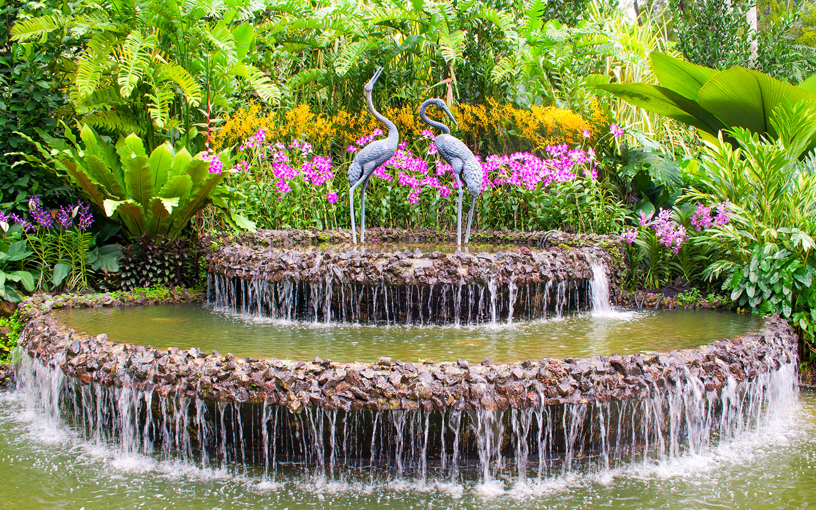 National Orchid Garden opening hours