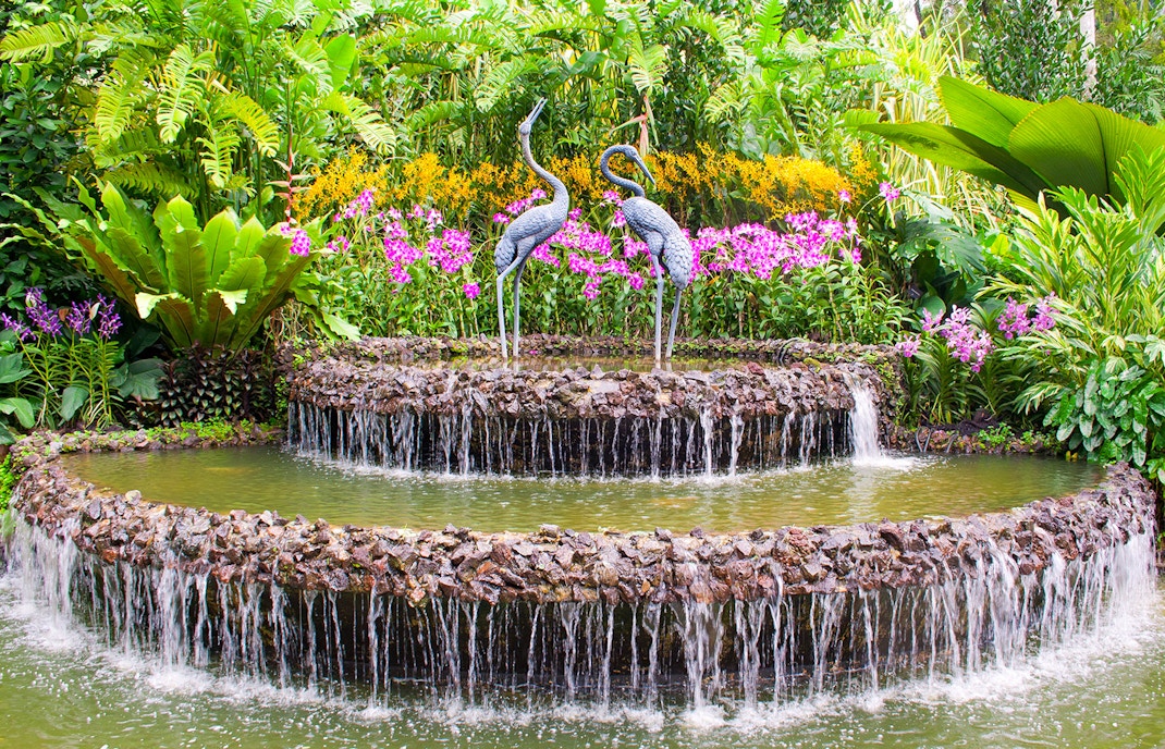 National Orchid Garden opening hours