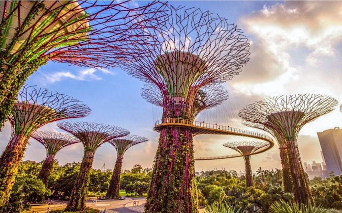 Supertree Grove at Gardens by the Bay, Singapore, with elevated walkway.