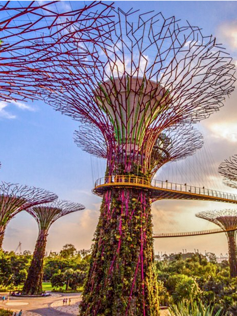 Supertree Grove at Gardens by the Bay, Singapore, with elevated walkway.