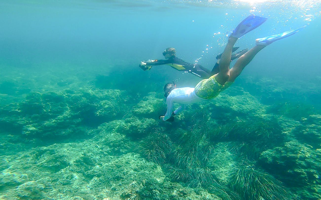 Snorkeler exploring underwater landscape in Cap d’Ail, Nice, France.