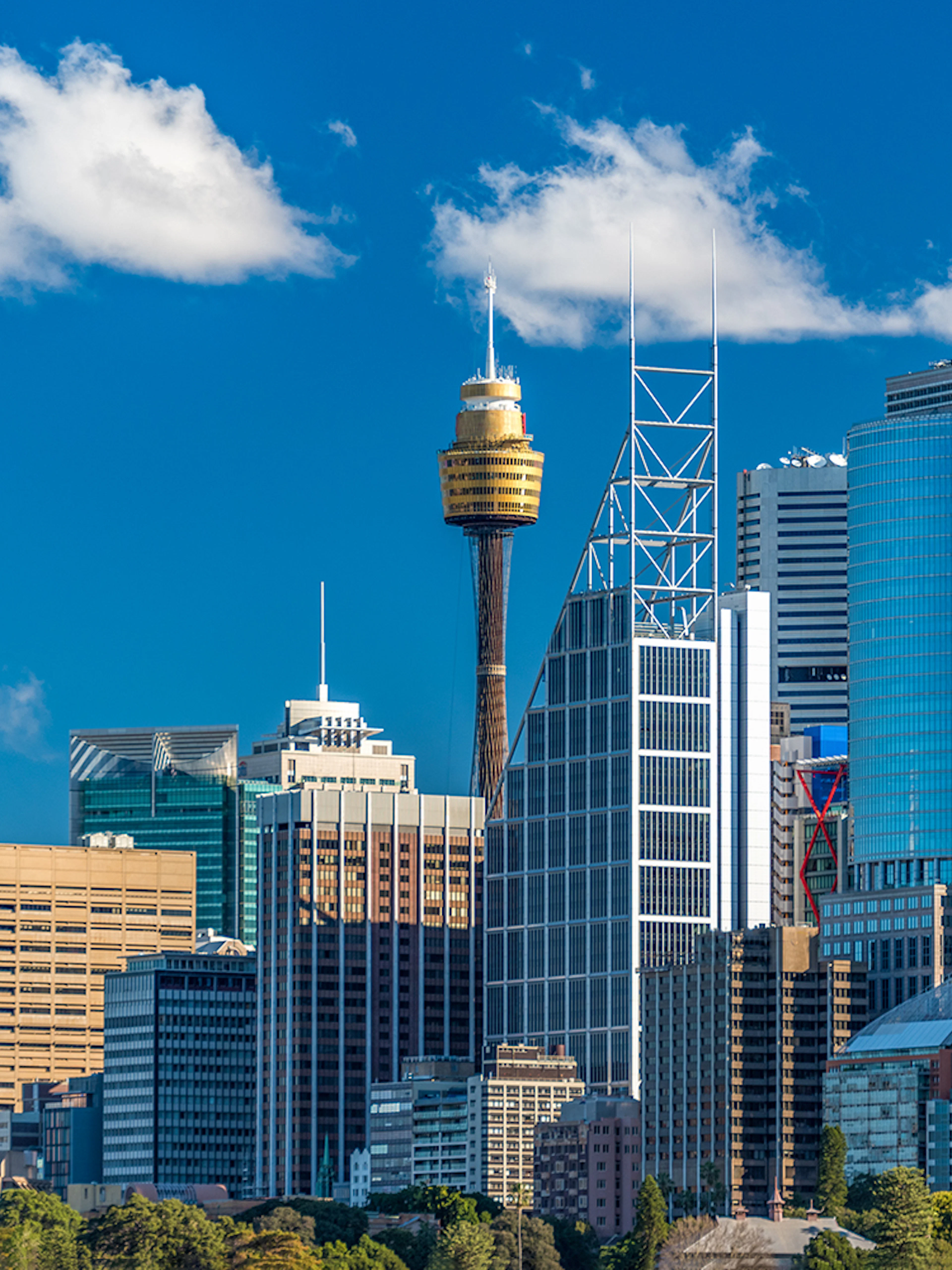 Sydney skyline featuring the Sydney Tower and modern skyscrapers.