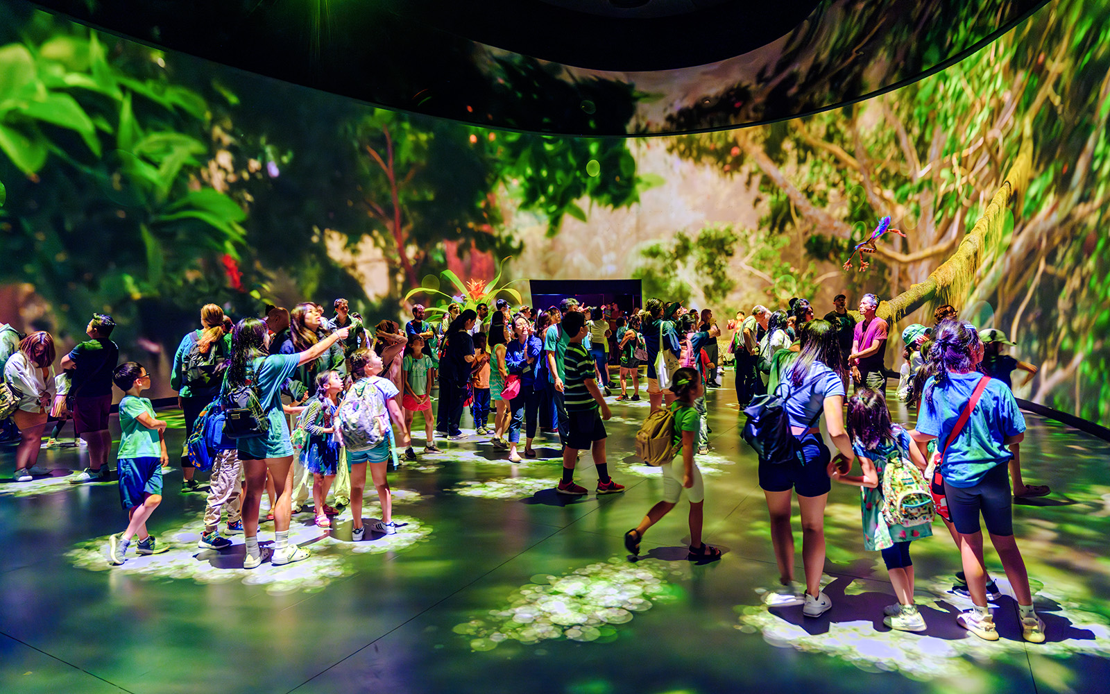 Visitors exploring the immersive Invisible Worlds Exhibit at the American Museum of Natural History.