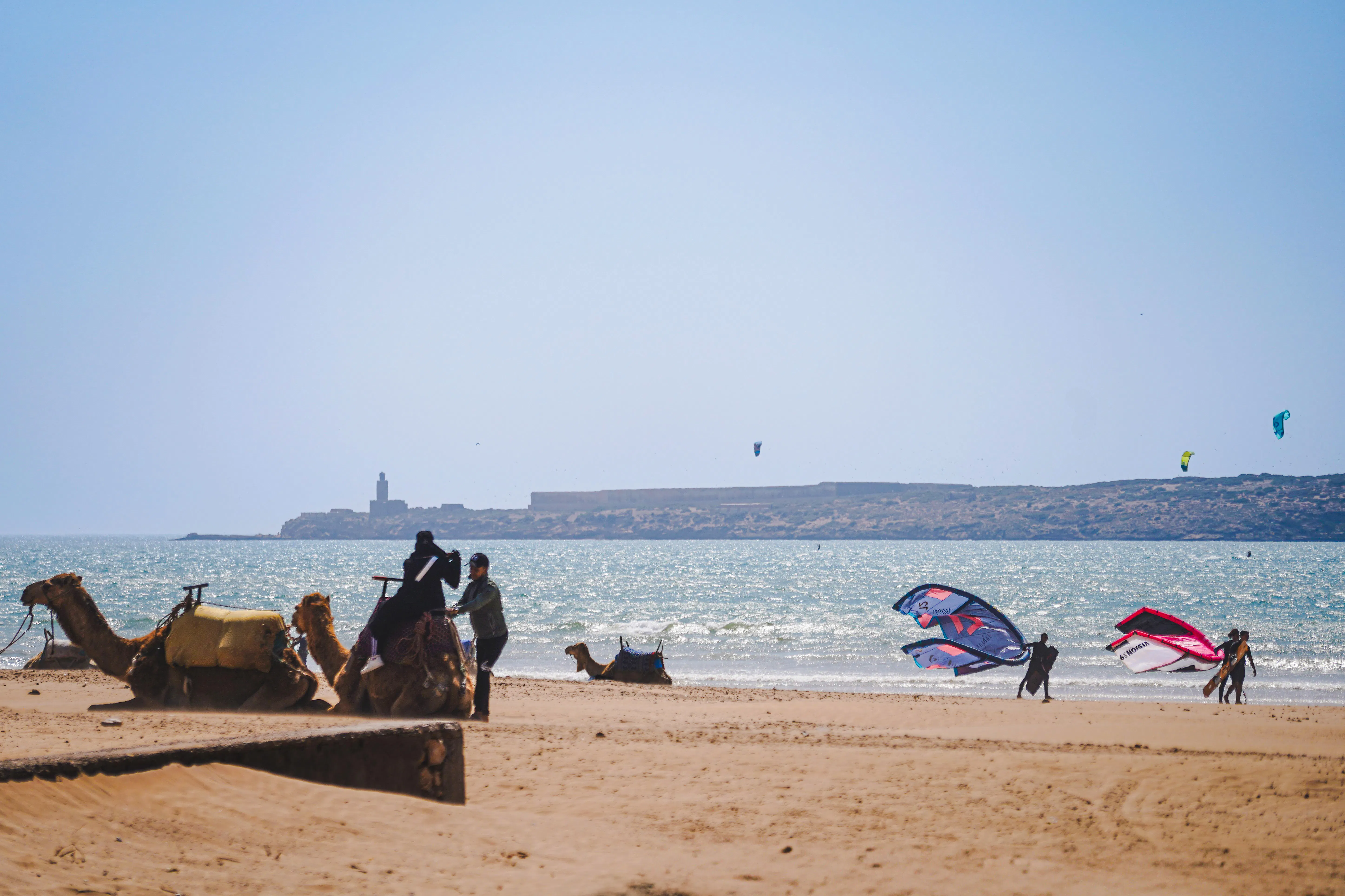 From Marrakech: Essaouira Coastal Day Tour