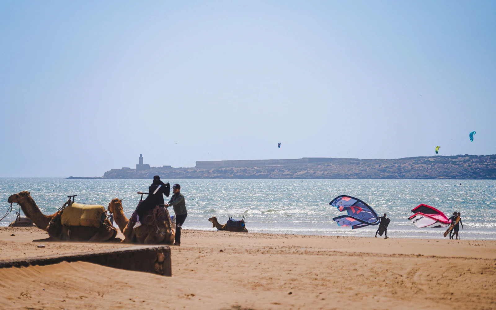 From Marrakech: Essaouira Day Trip with Round-Trip Transfers (Product 54499)