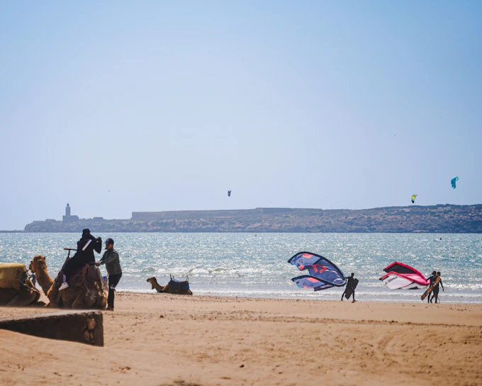 From Marrakech: Essaouira Day Trip with Round-Trip Transfers (Product 54499)