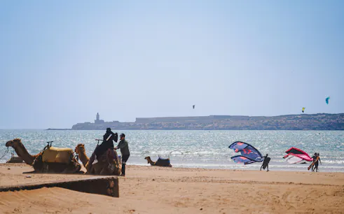 à partir de marrakech : excursion d'une journée à essaouira avec navettes aller-retour-1