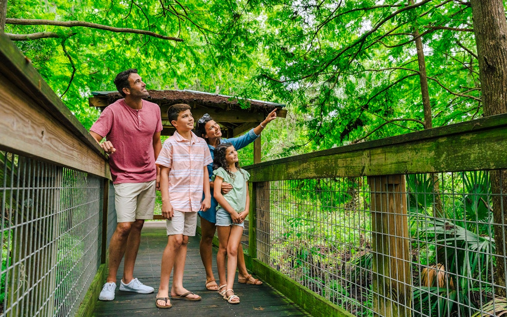 Family exploring boardwalk at Gator Park, Drive-Thru Safari Park, Orlando.