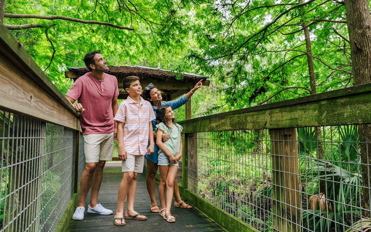 Family exploring boardwalk at Gator Park, Drive-Thru Safari Park, Orlando.
