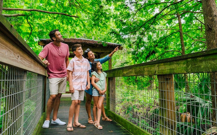 Family exploring boardwalk at Gator Park, Drive-Thru Safari Park, Orlando.