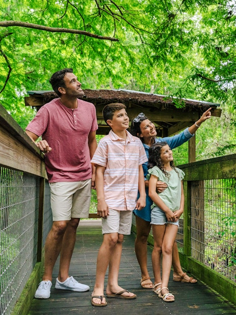 Family exploring boardwalk at Gator Park, Drive-Thru Safari Park, Orlando.
