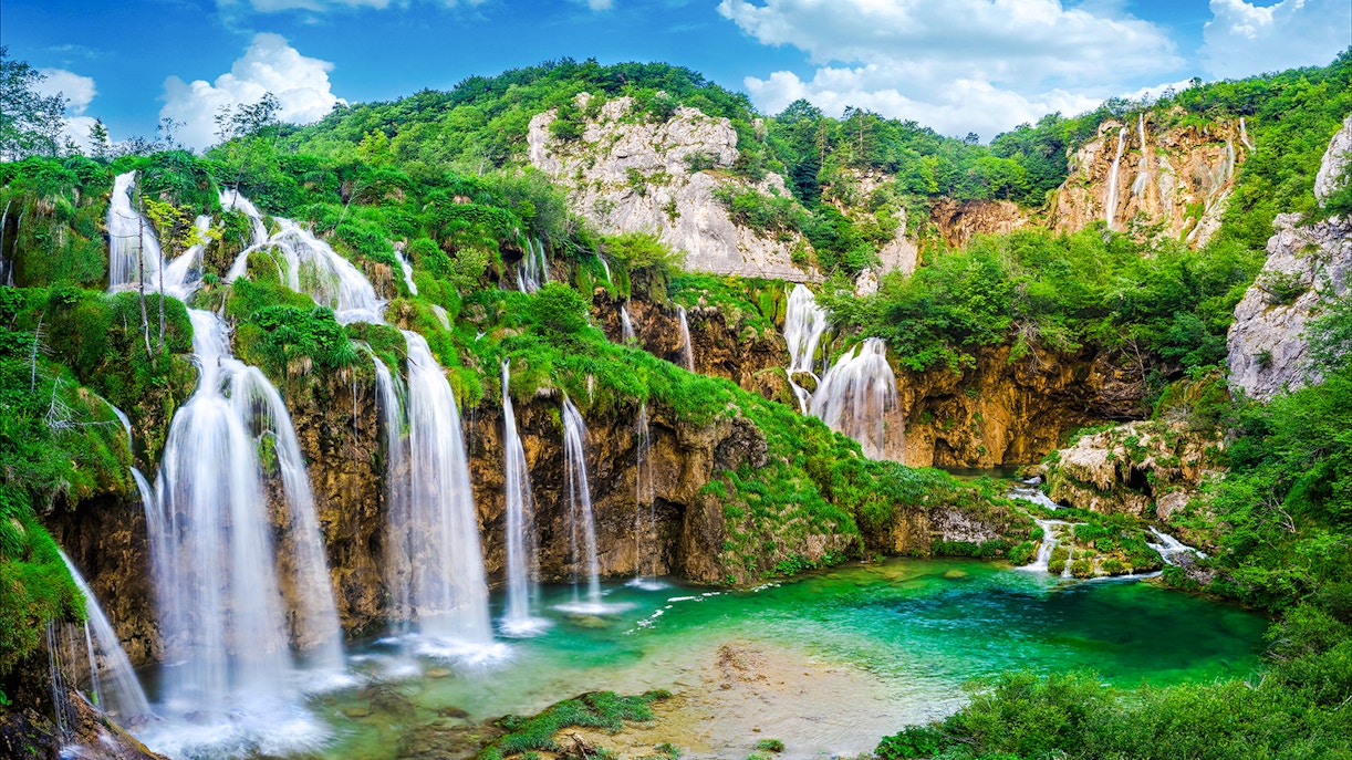 Fishes swimming in Plitvice Lakes National Park, Croatia.