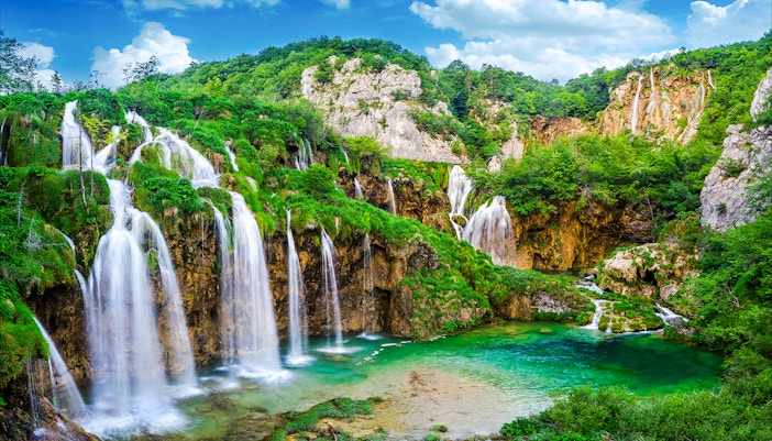 Fishes swimming in Plitvice Lakes National Park, Croatia.