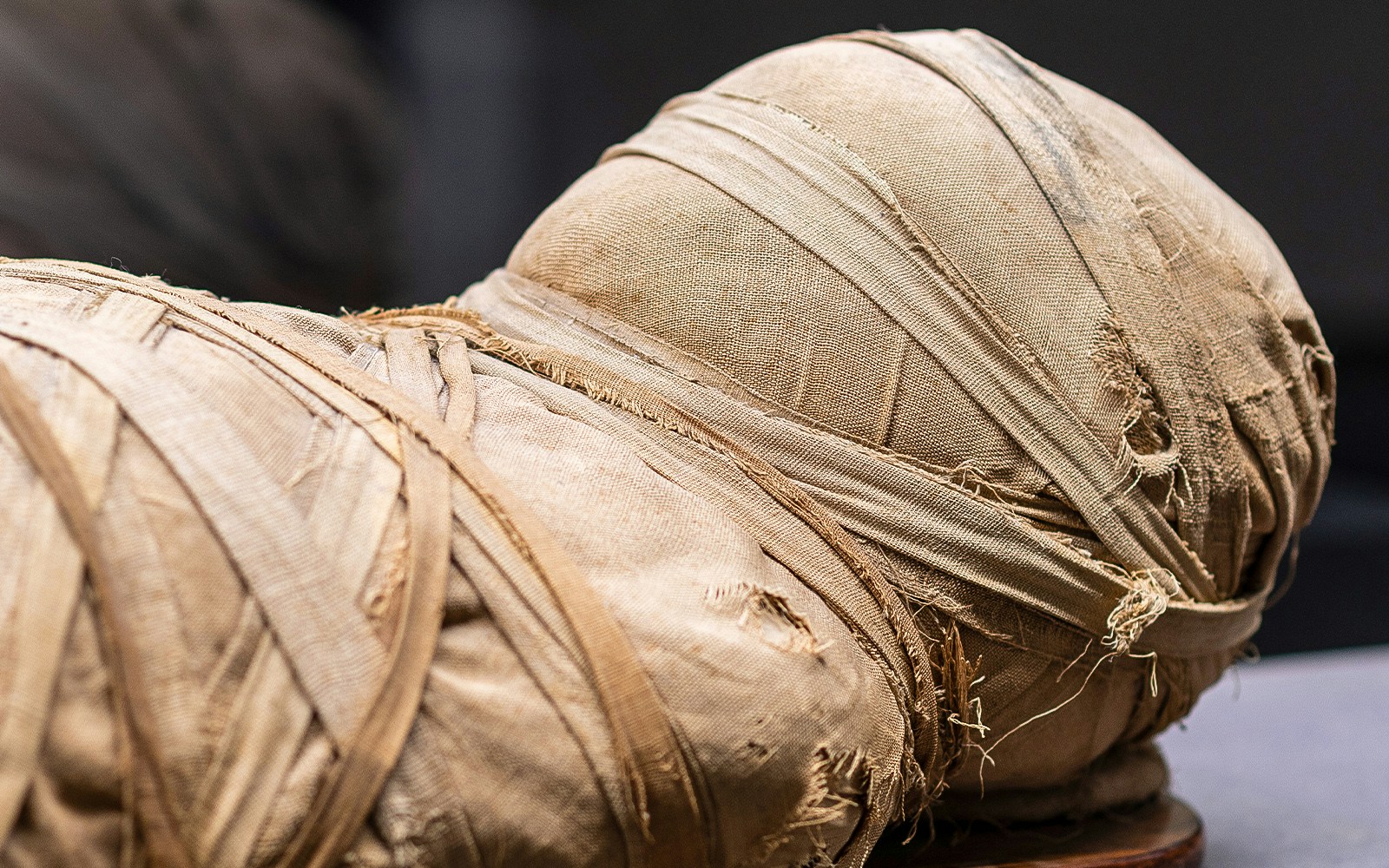 Mummy exhibit at Museo Archeologico Nazionale di Firenze.