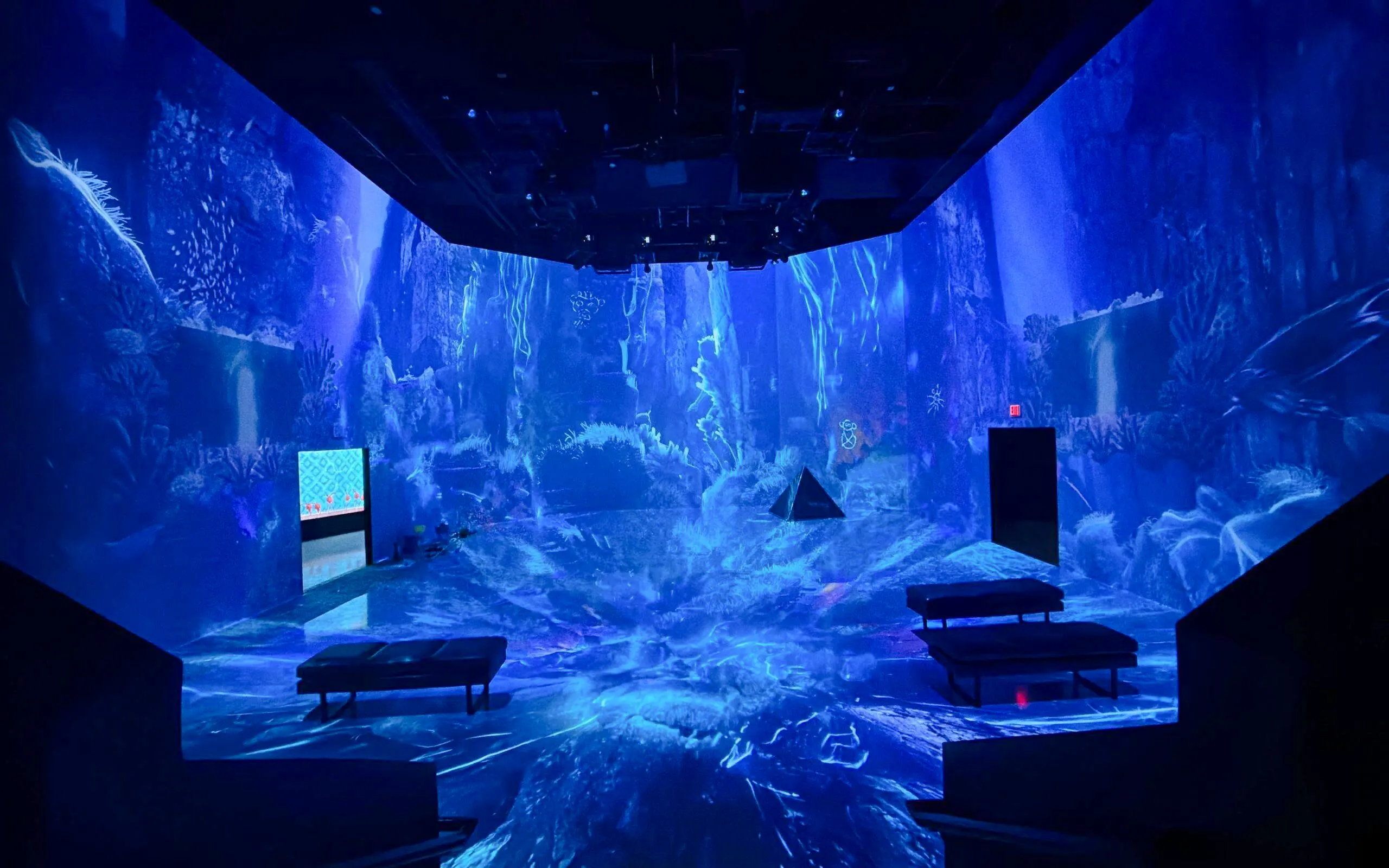 Immersive digital art installation at ARTECHOUSE DC with vibrant blue ocean theme.