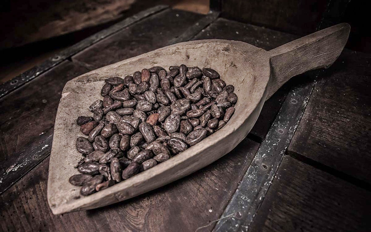 Cocoa beans in a wooden scoop at Choco-Story Brussels Museum.