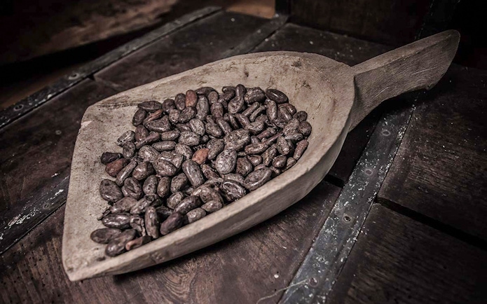 Cocoa beans in a wooden scoop at Choco-Story Brussels Museum.